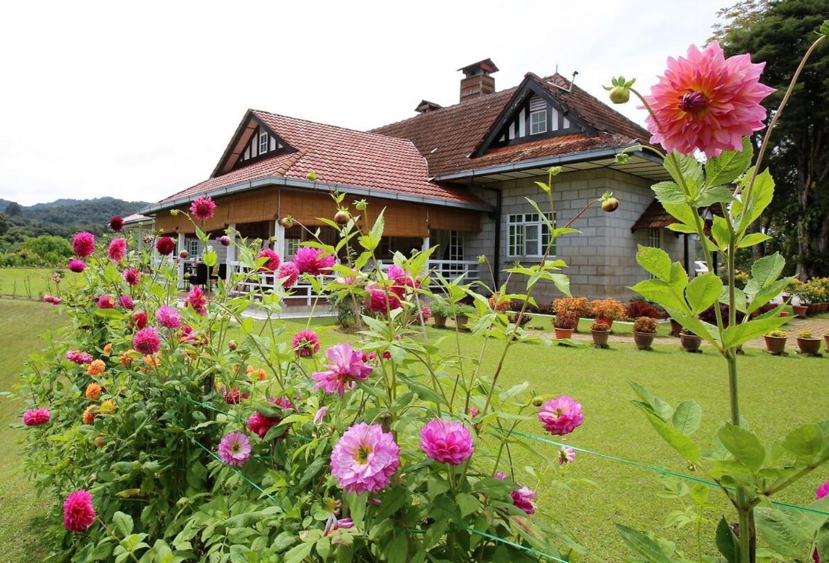 Bukit Lowick Bungalow ตานาห์ราตา ภายนอก รูปภาพ